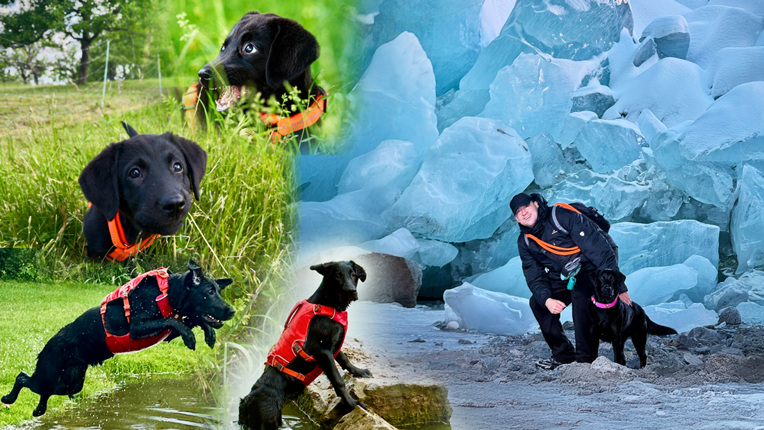 Exploring nature with Luna